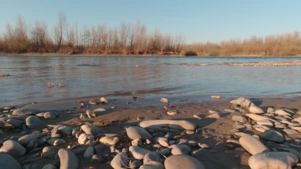Piedras en la orilla del río Slow Motion — Vídeos de Stock