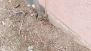 Bitkilerin budanması ve enjeksiyonu