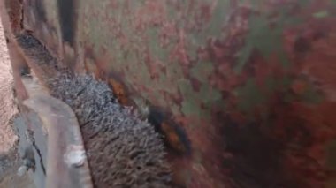 Eski boyanın paslı kapılarını fırçalıyorum