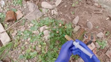 Bahçe bitkisi enjeksiyonu bakış açısı