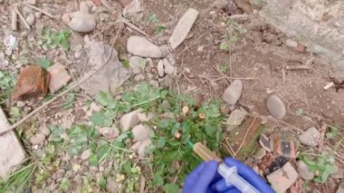 Bahçe bitkisi enjeksiyonları yavaş çekim bakış açısı