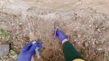 Bitki yetiştirme bakış açısı