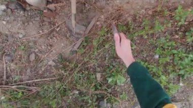 Ot temizleme POV avluda yavaş çekim çalışması