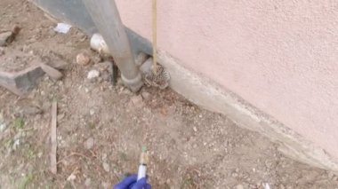 Bitkilerin budanması ve enjeksiyonu yavaş çekimde kesiciler ve şırıngalar