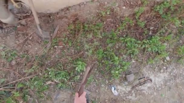 Homem Remoção Ervas Daninhas Cortando Plantas Com Uma Faca — Vídeo de Stock