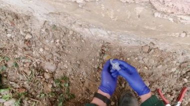 Bahçedeki bitkilerin kişisel perspektifi kaldırılıyor