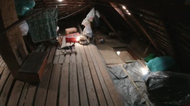 Kedi, kedi yavrusunu tavan arasına saklar.