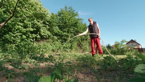 Der Mann Wässert Den Garten — Stockvideo