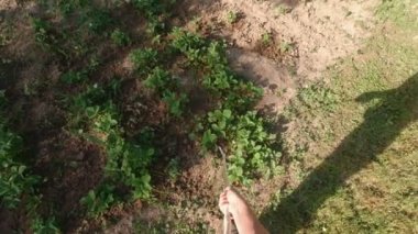 Adam bahçeyi suluyor POV ağır çekimde eller