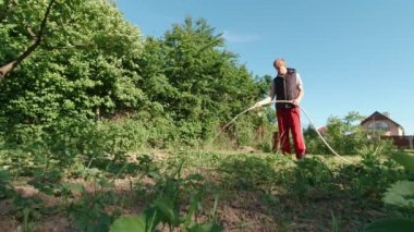 Adam bahçeyi suluyor yavaş çekim güneşli bir gün