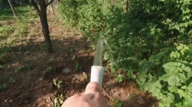 Çalıları suluyorum, POV bahçesini kapatıyordum.