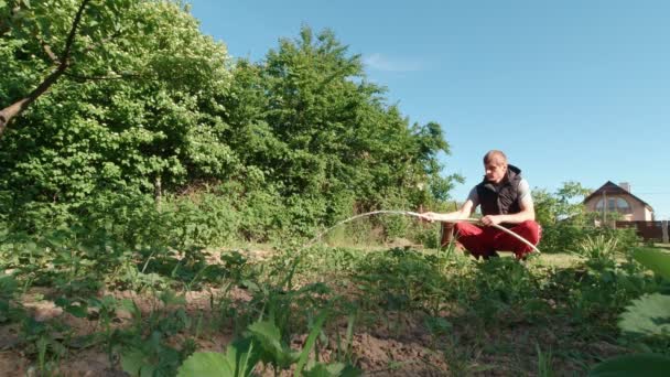 Siedzący Człowiek Podlewanie Ogród Powolny Ruch Słoneczny Dzień — Wideo stockowe