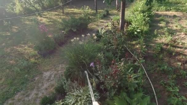 Man Waters Plants Pov Slow Motion Summer Day — Stock videók