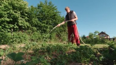 A young man waters a vegetable garden slow motion sunny day