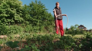 Young man waters a vegetable garden slow motion water splashing