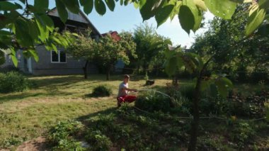 Man sits and waters the garden slow motion sunny summer day