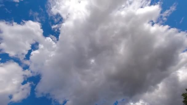 White Clouds Time Lapse Sky — Stock Video