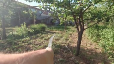 Su çalılıkları POV yavaş çekim el yakın çekim
