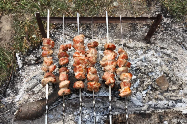 Kebabs. — Fotografia de Stock