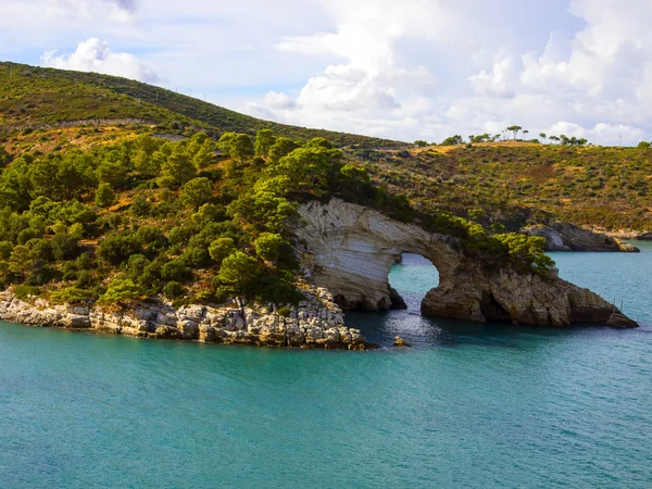 Landschaft der Küste des gargano apulia italien Stockbild