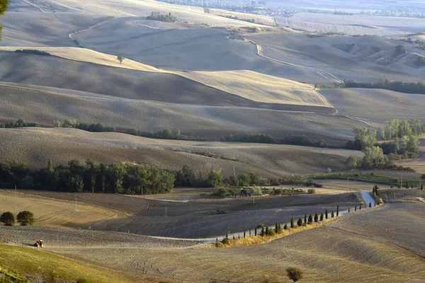 Panorámás kilátás nyílik a toszkán dombokra — Stock Fotó