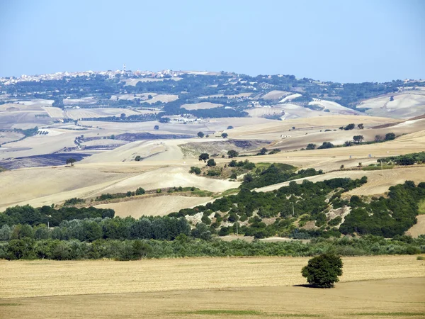 Panoramablick auf das land in apulien italien Stockbild