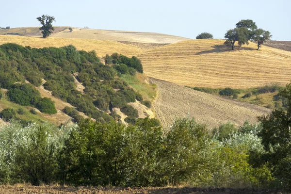 Panorámás kilátás nyílik az ország Puglia Olaszországban — Stock Fotó