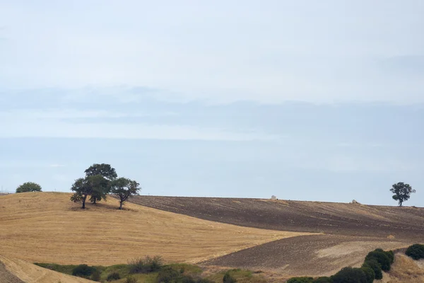 Een panoramisch uitzicht op het land in Apulië, Italië — Stockfoto