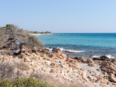 Peyzaj bidda rosa beach orosei Körfez'in sardinia ita