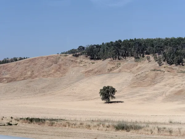 Zomer landschap heuvel in de buurt van etna vulkaan Sicilië Italië — Stockfoto