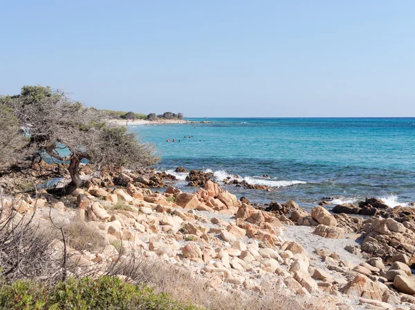 Bidda 罗莎在 orosei 海湾海滩景观撒丁岛 ita — 图库照片
