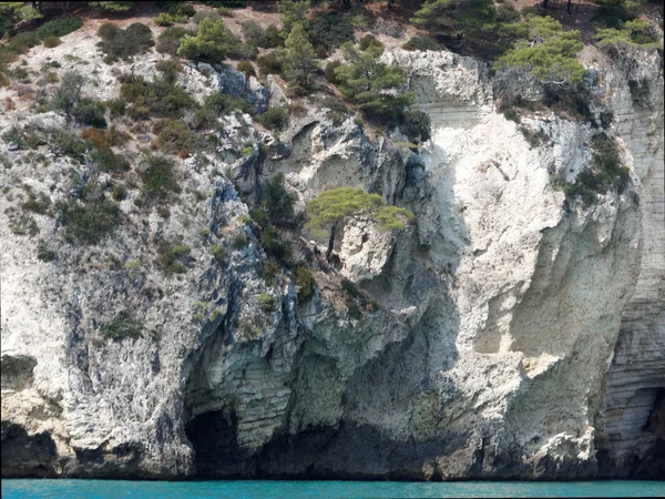 Landscapre узбережжя Gargano Апулії Італії — стокове фото