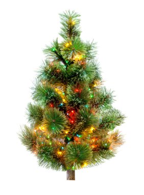 Beyaz arkaplanda izole edilmiş Noel ağacı