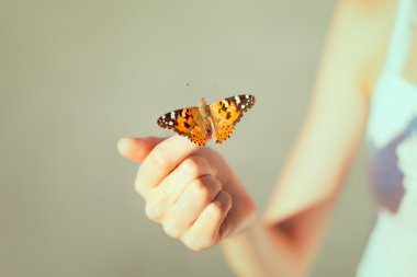 butterfly sitting on the girl hand clipart