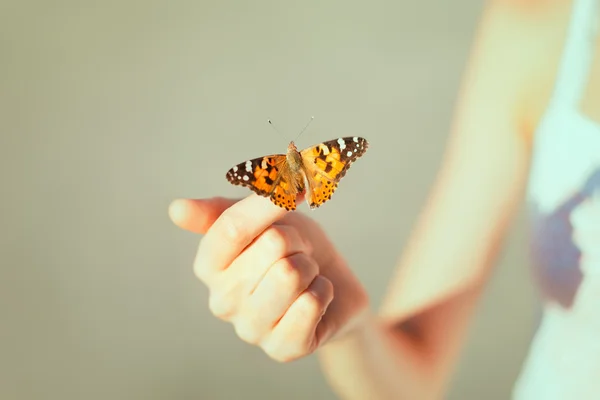 Mariposa sentada en la mano de la chica — Foto de Stock