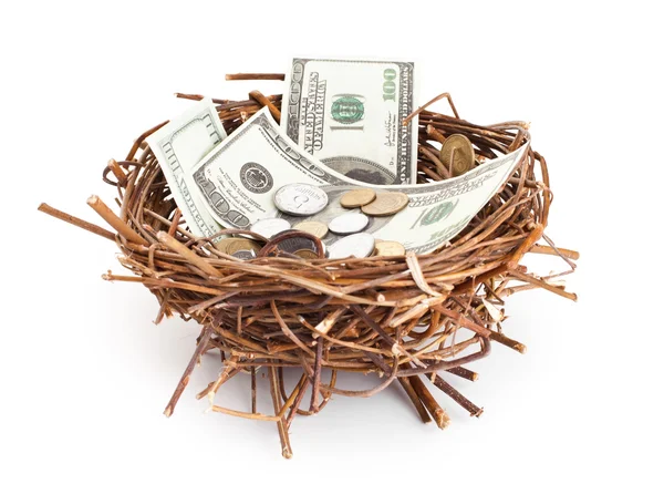 Dollar bills and coins in a birds nest — Stock Photo, Image