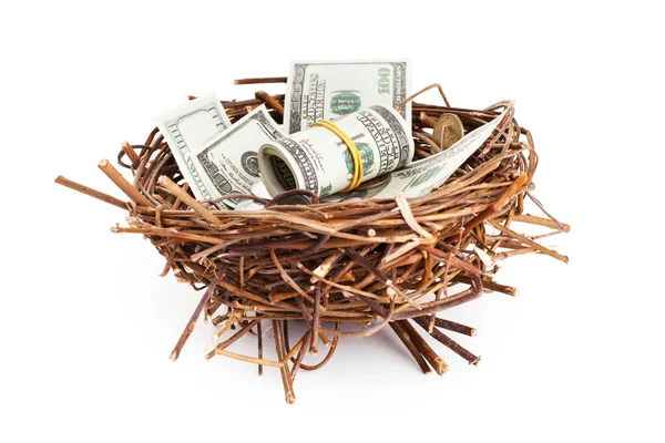 Dollar bills and coins in birds nest isolated on white backgroun — Stock Photo, Image