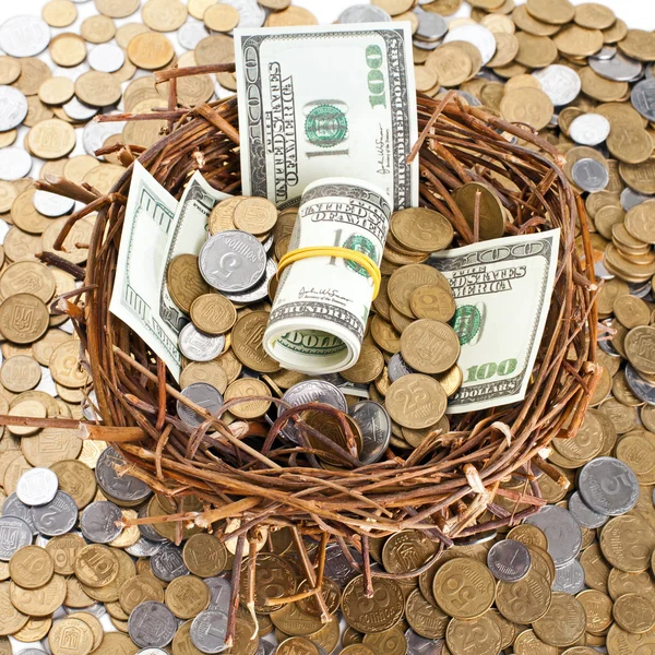 Nest egg overflowing with money — Stock Photo, Image