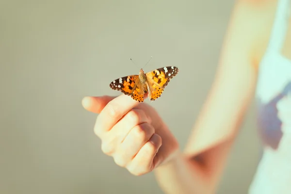 Метелик сидить на руці дівчини Стокове Зображення