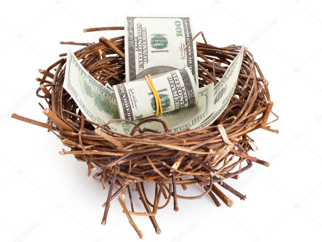 Dollar bills in a birds nest isolated on white