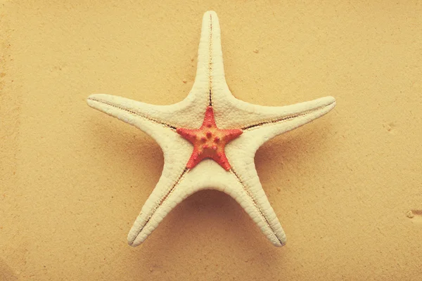 Två sjöstjärna på sand — Stockfoto