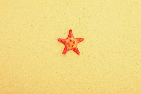 Estrella de mar roja sobre arena — Foto de Stock