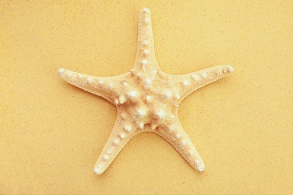 Starfish na areia — Fotografia de Stock