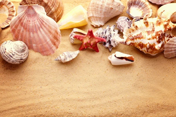 Starfishes och snäckskal på sand — Stockfoto