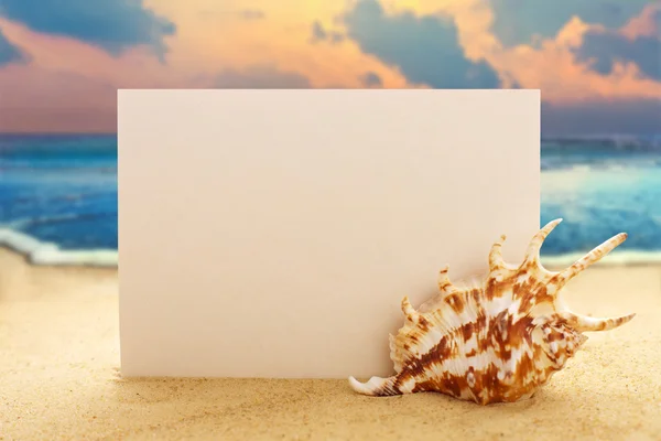 Papel em branco com concha na praia de areia — Fotografia de Stock