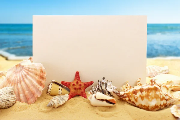 Blankt papper med snäckskal på stranden — Stockfoto