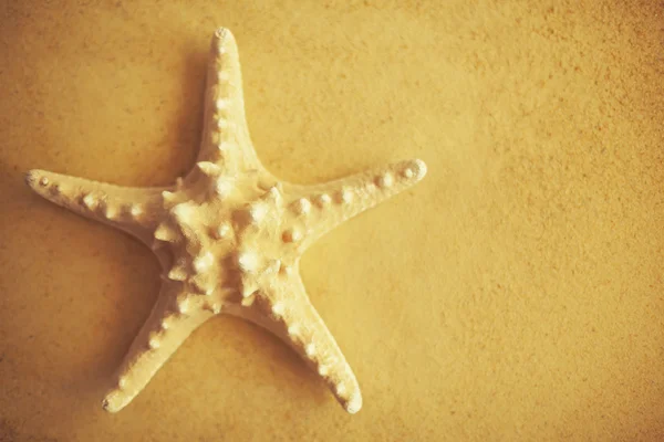 Estrella de mar amarilla sobre arena — Foto de Stock
