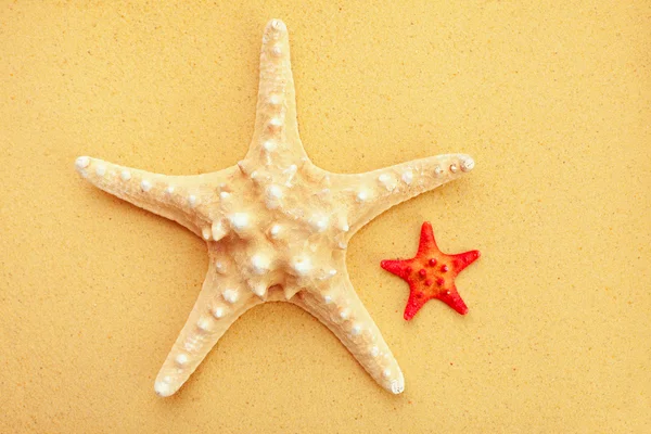 Två sjöstjärna på sand — Stockfoto