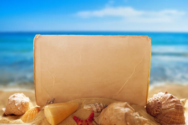 Blankt papper med snäckskal på stranden — Stockfoto