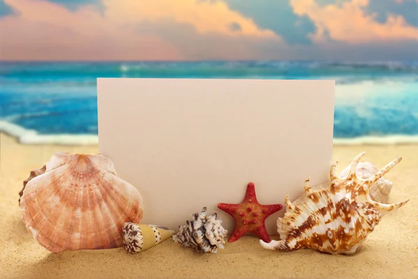 Blankt papper med snäckor och sjöstjärnor på sandstranden — Stockfoto